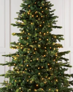 WeRChristmas 350 LED Warm White Light String, 35 M^ Fairy Lights