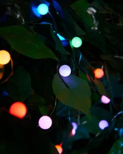 WeRChristmas 80 Pastel Multi-Coloured Micro LED Berry Lights, 6 M^ Fairy Lights|Tree Lights