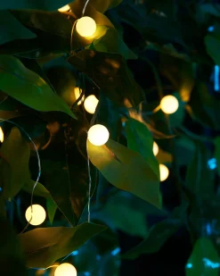 WeRChristmas 80 Pastel Warm White Micro LED Berry Lights, 2.4 M^ Fairy Lights|Tree Lights