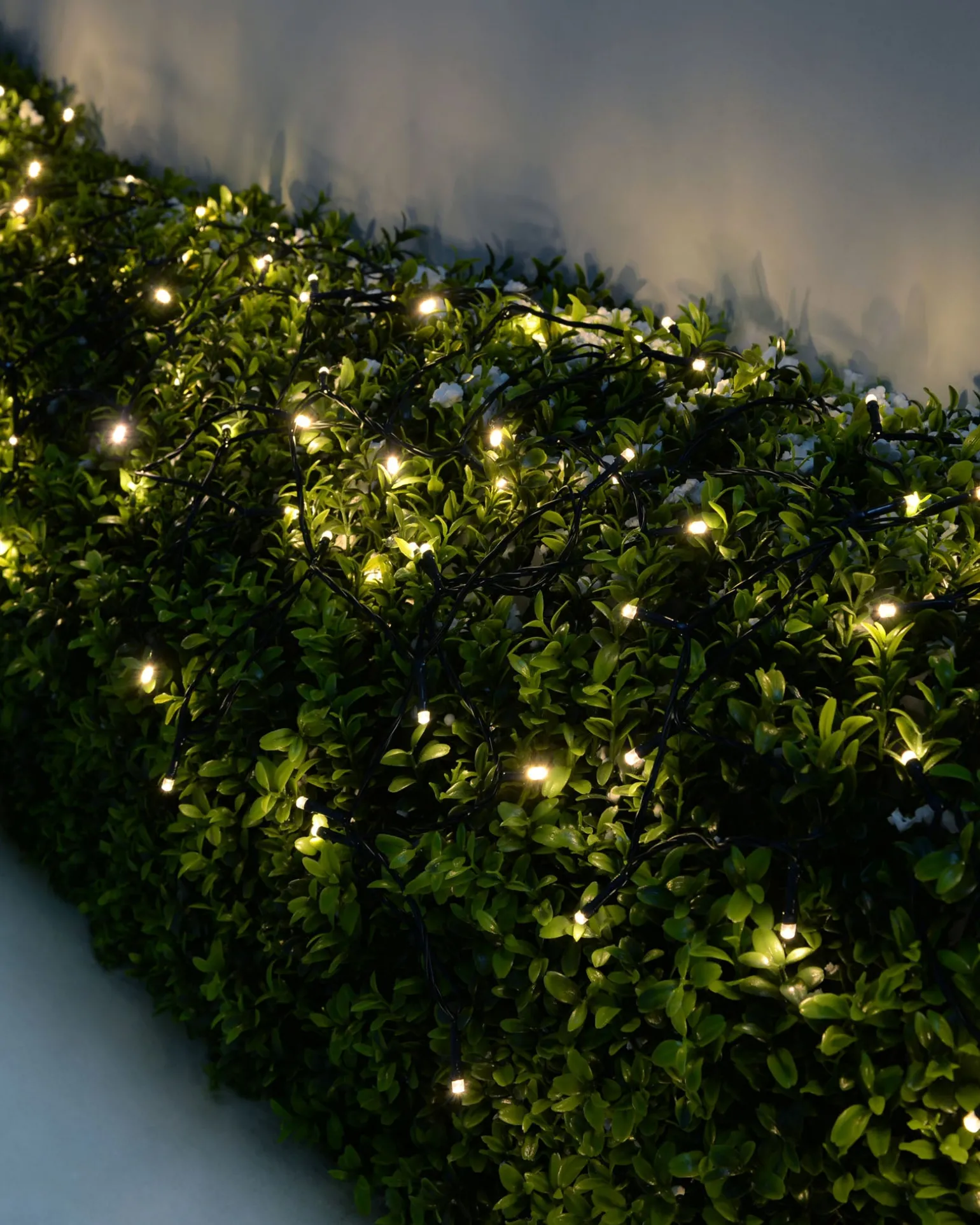 WeRChristmas Battery Operated Multi-Function 100 LED Light String With Timer, Warm White^ Fairy Lights|Tree Lights