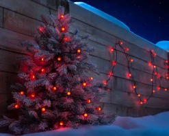WeRChristmas Berry Multi-Function 50 LED Connectable Light String, Bright Red^ Fairy Lights|Connectable Lights