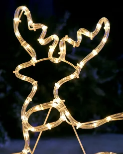 WeRChristmas 2D Reindeer LED Rope Light Silhouette, 60 Cm^ Outdoor Lighted Reindeer