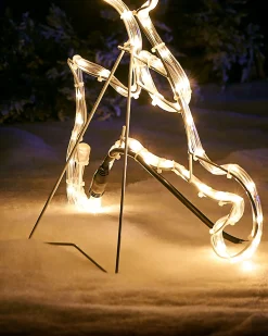 WeRChristmas 2D Reindeer LED Rope Light Silhouette, 60 Cm^ Outdoor Lighted Reindeer