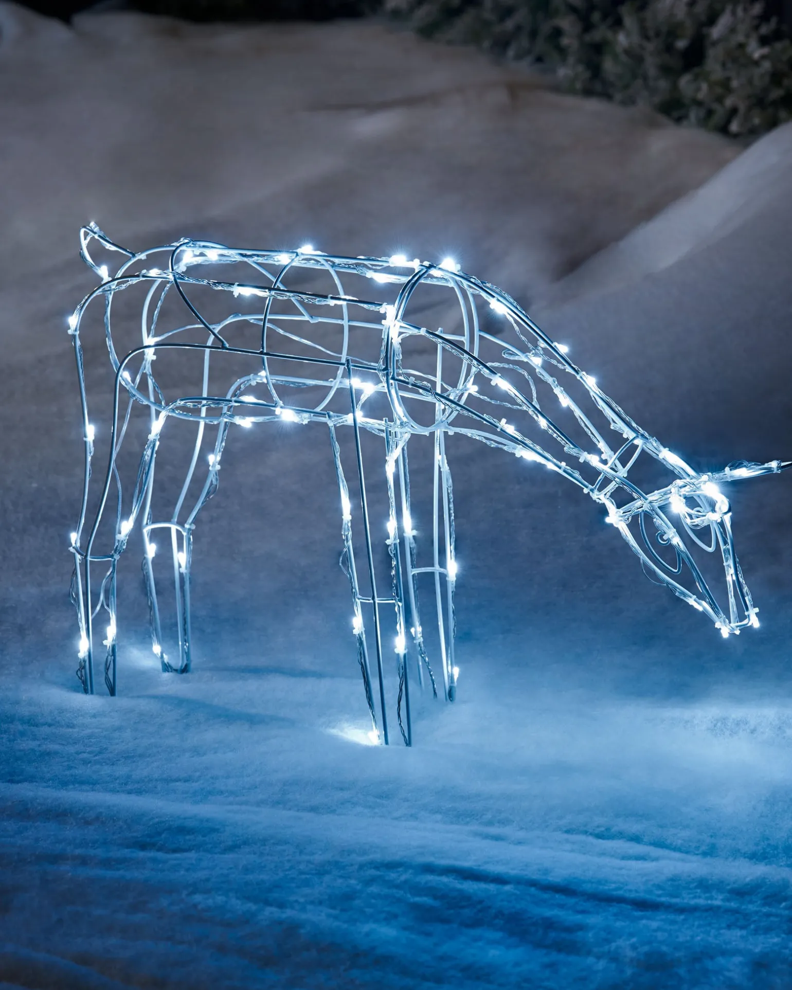 WeRChristmas 3D Twinkling Grazing Reindeer Silhouette, White, 68 Cm^ Outdoor Lighted Reindeer