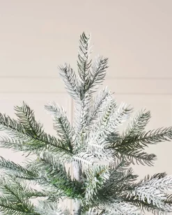 WeRChristmas Frosted Siberian Mixed Pine Christmas Tree, 6 Ft^ Budget Christmas Trees|Snow Flocked Christmas Trees