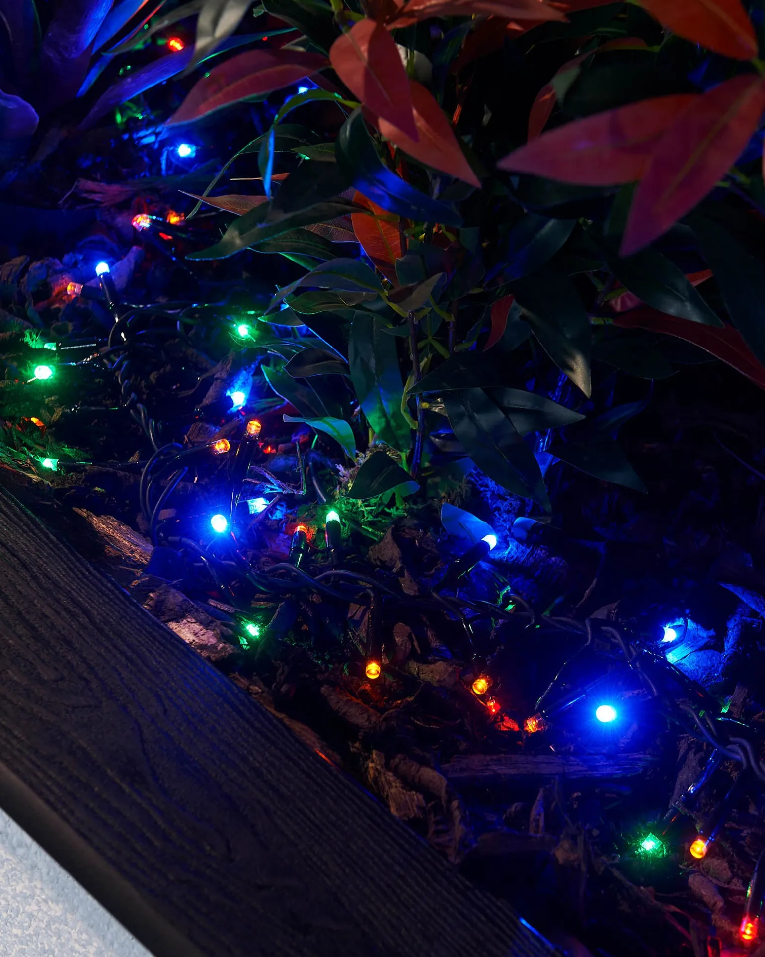 WeRChristmas LINK PRO LED Cluster Lights, Black Cable, Multi Colour^ Link Pro|Connectable Lights