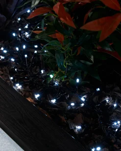 WeRChristmas LINK PRO LED Cluster Lights, Black Cable, White^ Link Pro|Cluster Lights