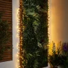 WeRChristmas LINK PRO LED Cluster Lights, Black Cable, Warm White^ Link Pro|Cluster Lights