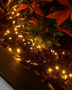 WeRChristmas LINK PRO LED Cluster Lights, Black Cable, Warm White^ Link Pro|Cluster Lights