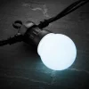 WeRChristmas LINK PRO LED Festoon Lights, Black Cable, White^ Link Pro|Festoon Lights