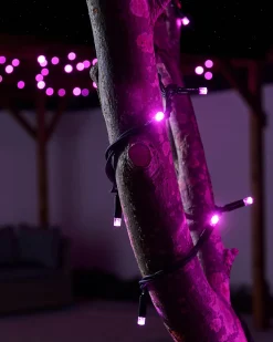 WeRChristmas LINK PRO LED String Lights, Black Cable, Pink^ Link Pro|Fairy Lights