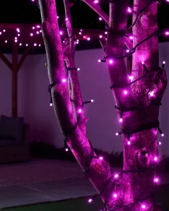 WeRChristmas LINK PRO LED String Lights, Black Cable, Pink^ Link Pro|Fairy Lights