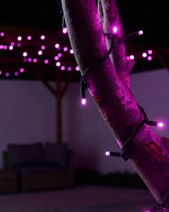 WeRChristmas LINK PRO LED String Lights, Black Cable, Pink^ Link Pro|Fairy Lights