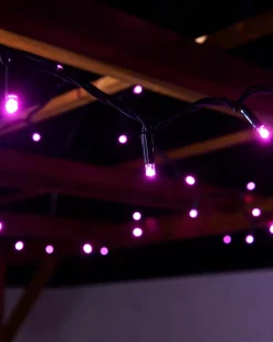 WeRChristmas LINK PRO LED String Lights, Black Cable, Pink^ Link Pro|Fairy Lights