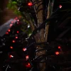 WeRChristmas LINK PRO LED String Lights, Black Cable, Red^ Link Pro|Fairy Lights