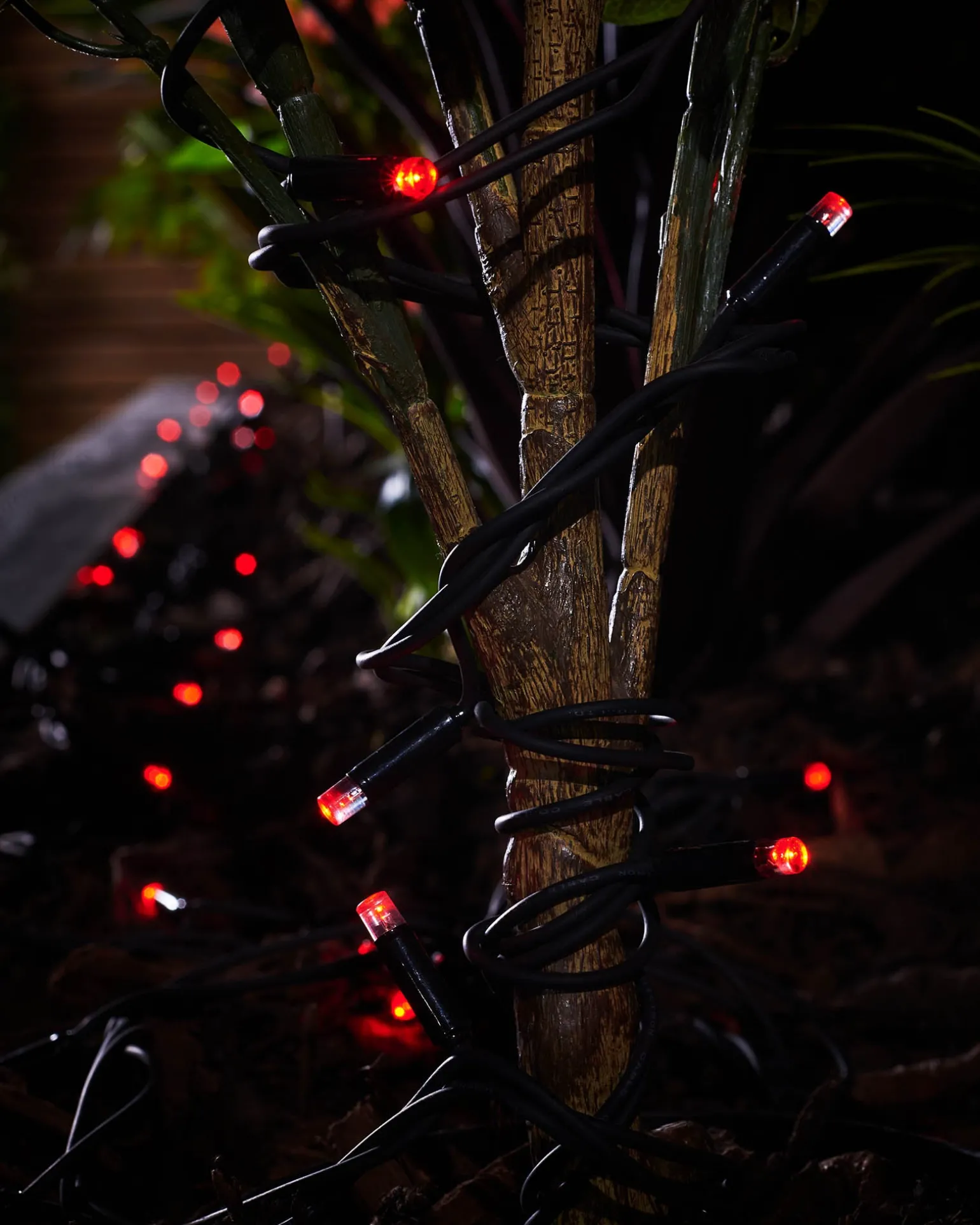 WeRChristmas LINK PRO LED String Lights, Black Cable, Red^ Link Pro|Fairy Lights
