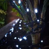 WeRChristmas LINK PRO LED String Lights, Black Cable, White^ Link Pro|Fairy Lights