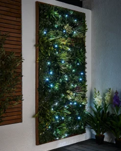WeRChristmas LINK PRO LED String Lights, Black Cable, White^ Link Pro|Fairy Lights