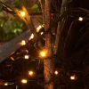 WeRChristmas LINK PRO LED String Lights, Black Cable, Warm White^ Link Pro|Fairy Lights