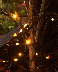 WeRChristmas LINK PRO LED String Lights, Black Cable, Warm White^ Link Pro|Fairy Lights
