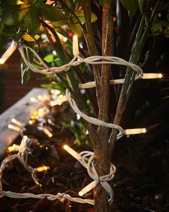 WeRChristmas LINK PRO LED String Lights, White Cable, Warm White^ Link Pro|Fairy Lights