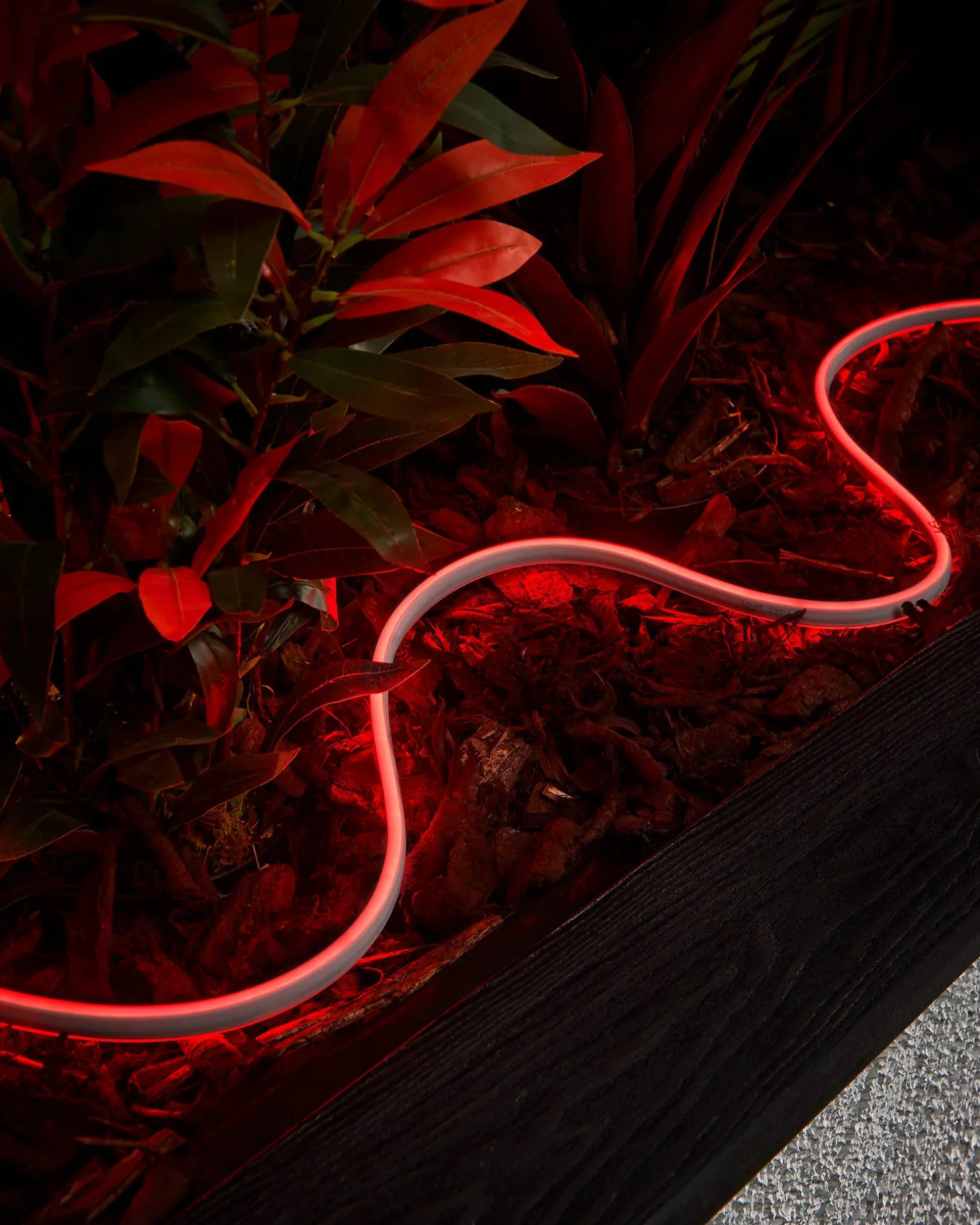 WeRChristmas LINK PRO Neon Flex, Made To Measure, Red^ Link Pro|Connectable Lights