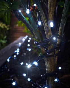 WeRChristmas LINK PRO Twinkle LED String Lights, Black Cable, White^ Link Pro|Fairy Lights
