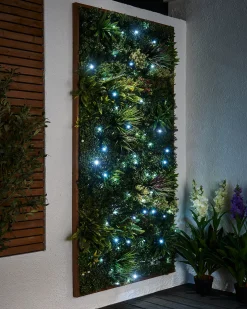 WeRChristmas LINK PRO Twinkle LED String Lights, Black Cable, White^ Link Pro|Fairy Lights