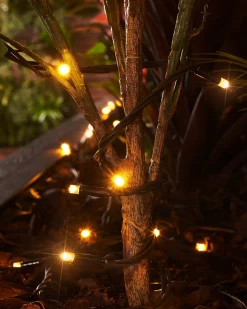 WeRChristmas LINK PRO Twinkle LED String Lights, Black Cable, Warm White^ Link Pro|Fairy Lights