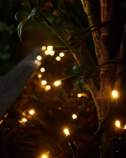 WeRChristmas LINK PRO Twinkle LED String Lights, Black Cable, Warm White / White^ Link Pro|Connectable Lights