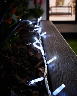 WeRChristmas LINK PRO Twinkle LED String Lights, White Cable, White^ Link Pro|Fairy Lights