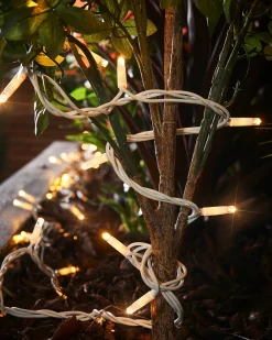 WeRChristmas LINK PRO Twinkle LED String Lights, White Cable, Warm White^ Link Pro|Fairy Lights