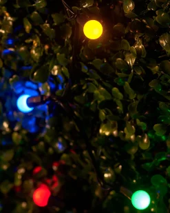 WeRChristmas LINK UP LED Berry Lights, Black Cable, Multi Colour^ Link Up|Fairy Lights