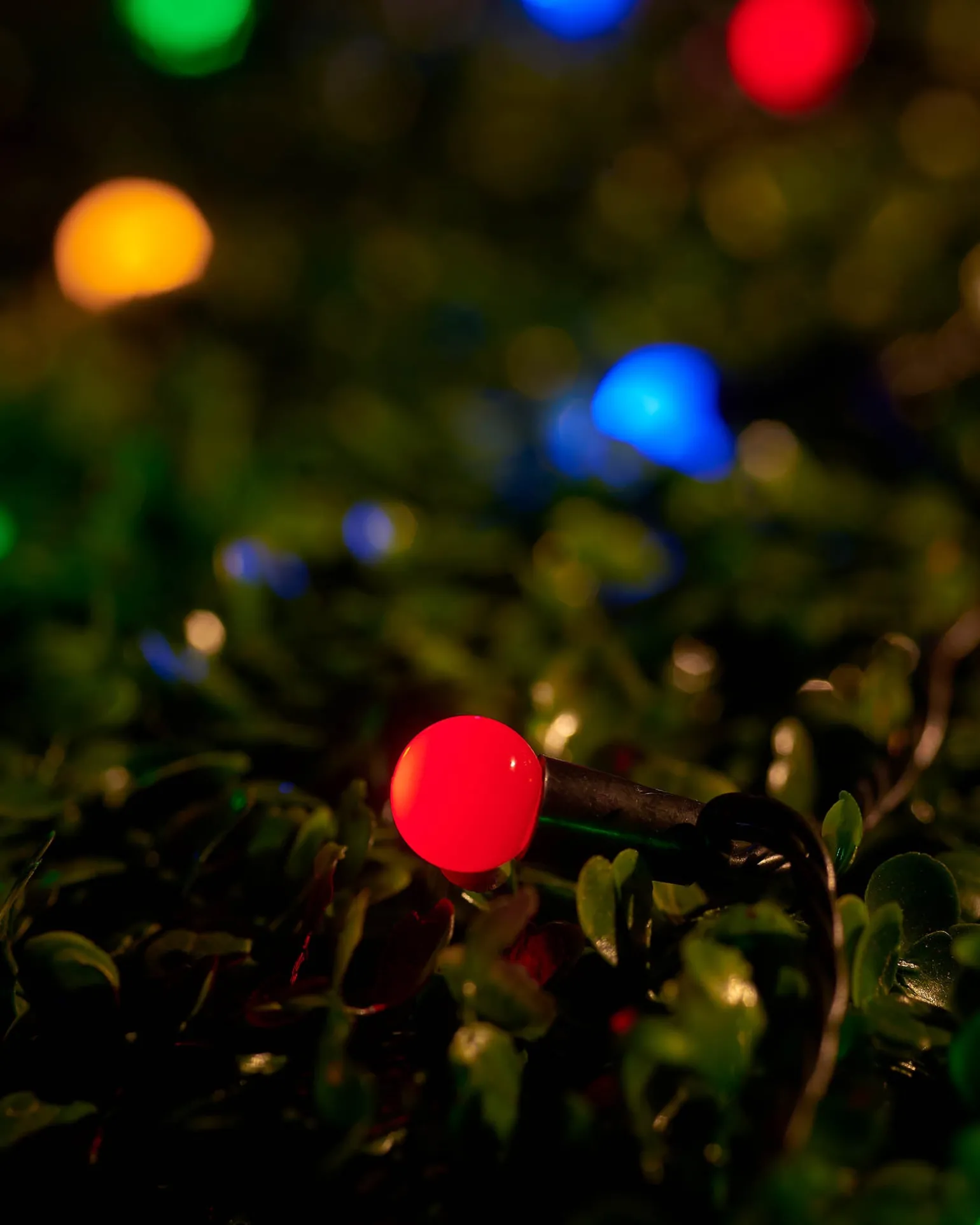WeRChristmas LINK UP LED Berry Lights, Black Cable, Multi Colour^ Link Up|Fairy Lights