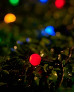 WeRChristmas LINK UP LED Berry Lights, Black Cable, Multi Colour^ Link Up|Fairy Lights