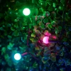 WeRChristmas LINK UP LED Berry Lights, Black Cable, Pastel Multi Colour^ Link Up|Fairy Lights