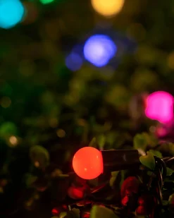 WeRChristmas LINK UP LED Berry Lights, Black Cable, Pastel Multi Colour^ Link Up|Fairy Lights