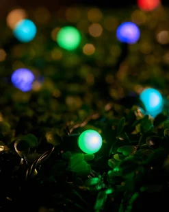 WeRChristmas LINK UP LED Berry Lights, Black Cable, Pastel Multi Colour^ Link Up|Fairy Lights