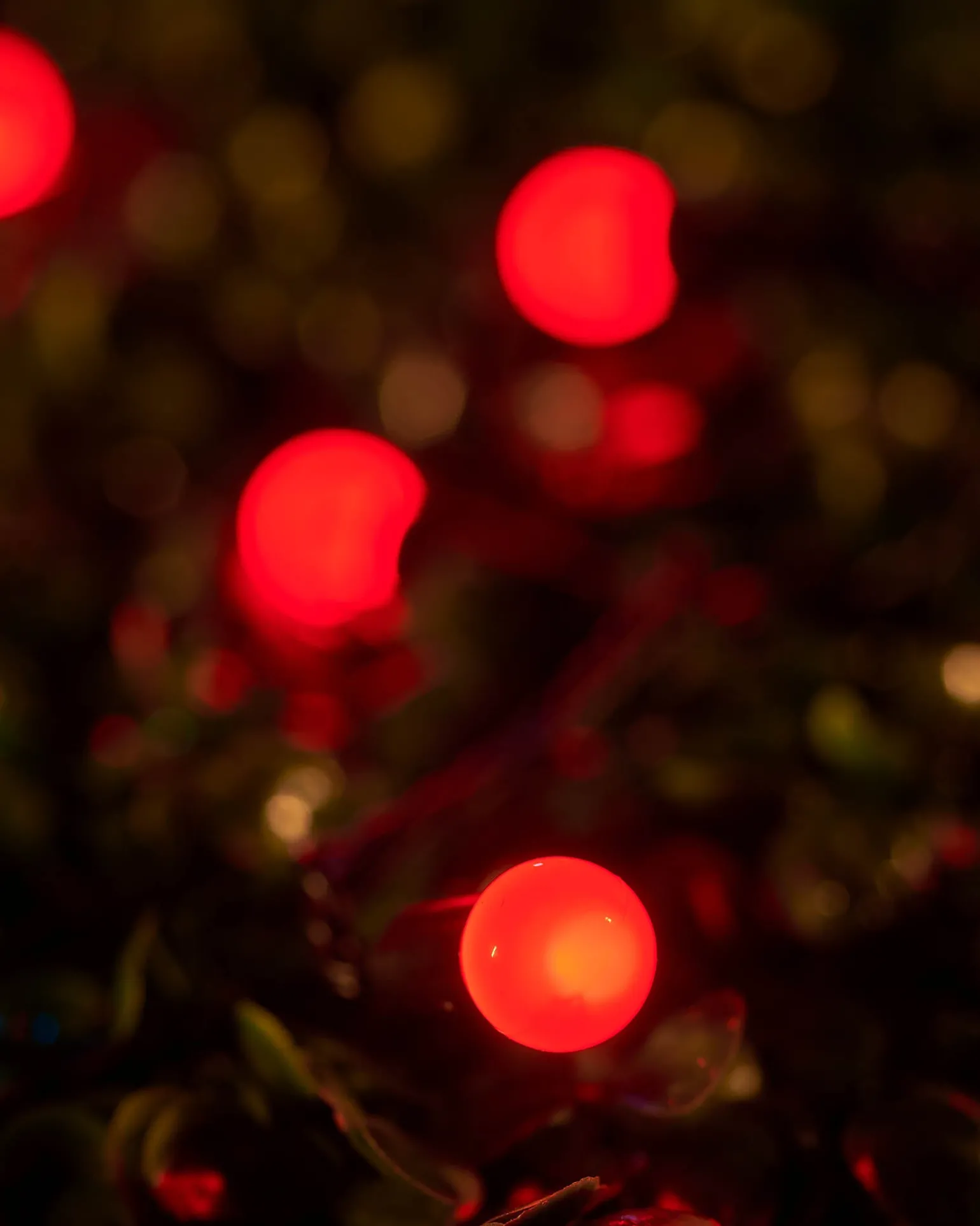 WeRChristmas LINK UP LED Berry Lights, Black Cable, Red^ Link Up|Fairy Lights