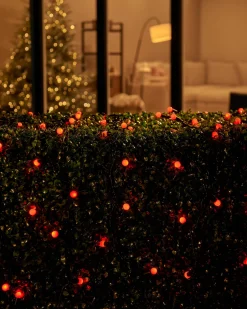 WeRChristmas LINK UP LED Berry Lights, Black Cable, Red^ Link Up|Fairy Lights