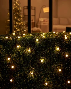 WeRChristmas LINK UP LED Berry Lights, Black Cable, Warm White^ Link Up|Fairy Lights