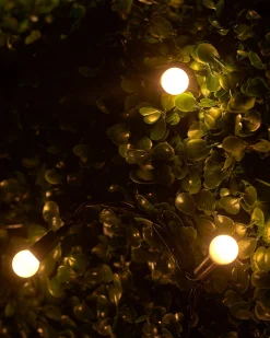 WeRChristmas LINK UP LED Berry Lights, Black Cable, Warm White^ Link Up|Fairy Lights