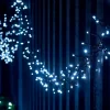 WeRChristmas LINK UP LED Cluster Lights, Black Cable, White^ Link Up|Connectable Lights