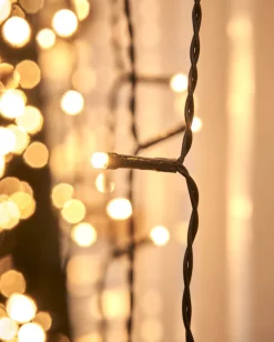 WeRChristmas LINK UP LED Curtain Lights, Black Cable, 1 M X 1.2 M, Warm White^ Link Up|Curtain & Net Lights
