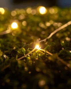 WeRChristmas LINK UP LED Net Lights, 3 M X 3 M, Warm White^ Link Up