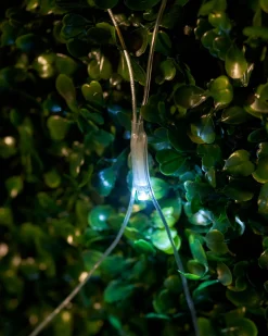 WeRChristmas LINK UP LED Net Lights, 3 M X 3 M, White^ Link Up|Curtain & Net Lights