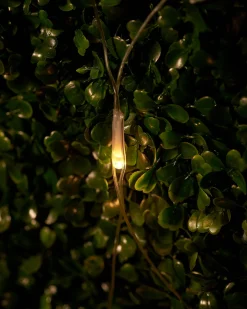 WeRChristmas LINK UP LED Net Lights, 2 M X 2 M, Warm White^ Link Up|Curtain & Net Lights