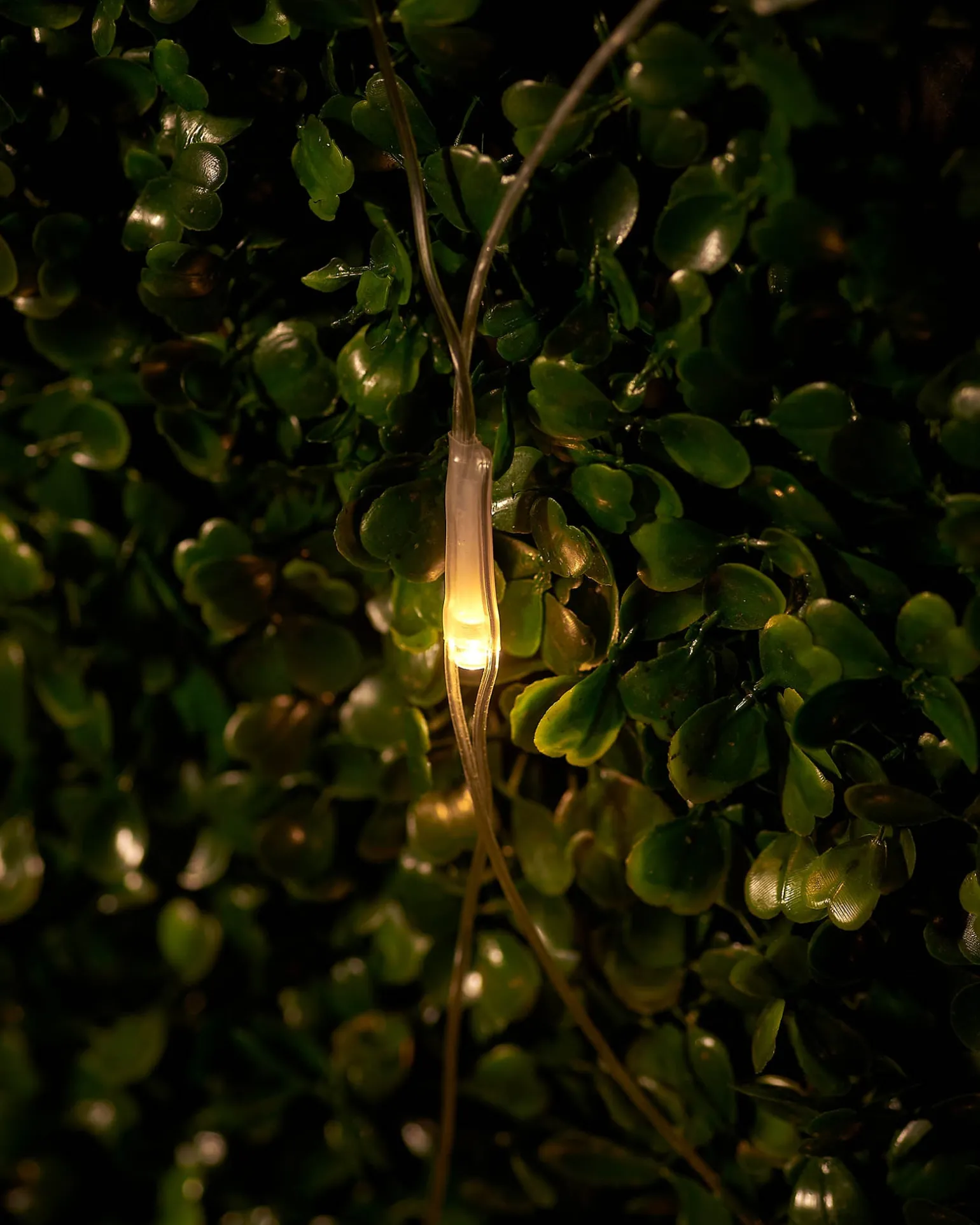 WeRChristmas LINK UP LED Net Lights, 2 M X 2 M, Warm White^ Link Up|Curtain & Net Lights