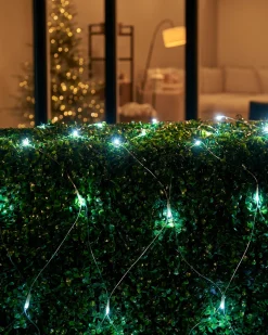 WeRChristmas LINK UP LED Net Lights, 2 M X 2 M, White^ Link Up|Curtain & Net Lights