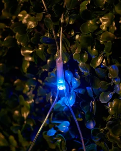 WeRChristmas LINK UP LED Net Lights, 2 M X 2 M, Multi Colour^ Link Up|Curtain & Net Lights